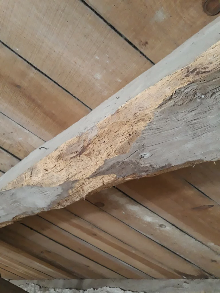 Ttbr Isolation La Rochelle TTBR Isolation La Rochelle Img 2 1 768x1024 1