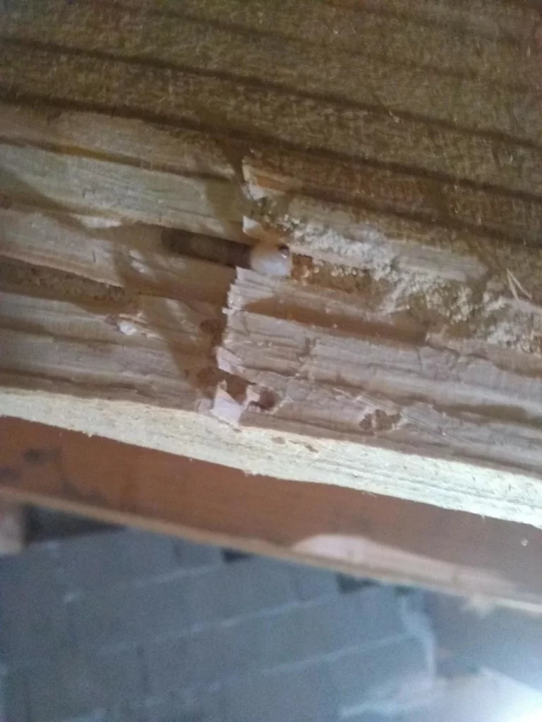 Ttbr Isolation La Rochelle TTBR Isolation La Rochelle Img 2 768x1024 1