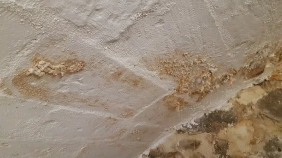 Ttbr Isolation La Rochelle TTBR Isolation La Rochelle Img 2 E1635755756418