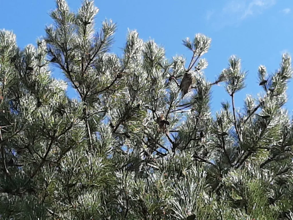 Ttbr Isolation La Rochelle TTBR Isolation La Rochelle Img1 3 1 1024x768 1