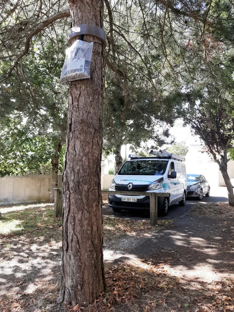 Ttbr Isolation La Rochelle TTBR Isolation La Rochelle Img1 4 1 768x1024 1