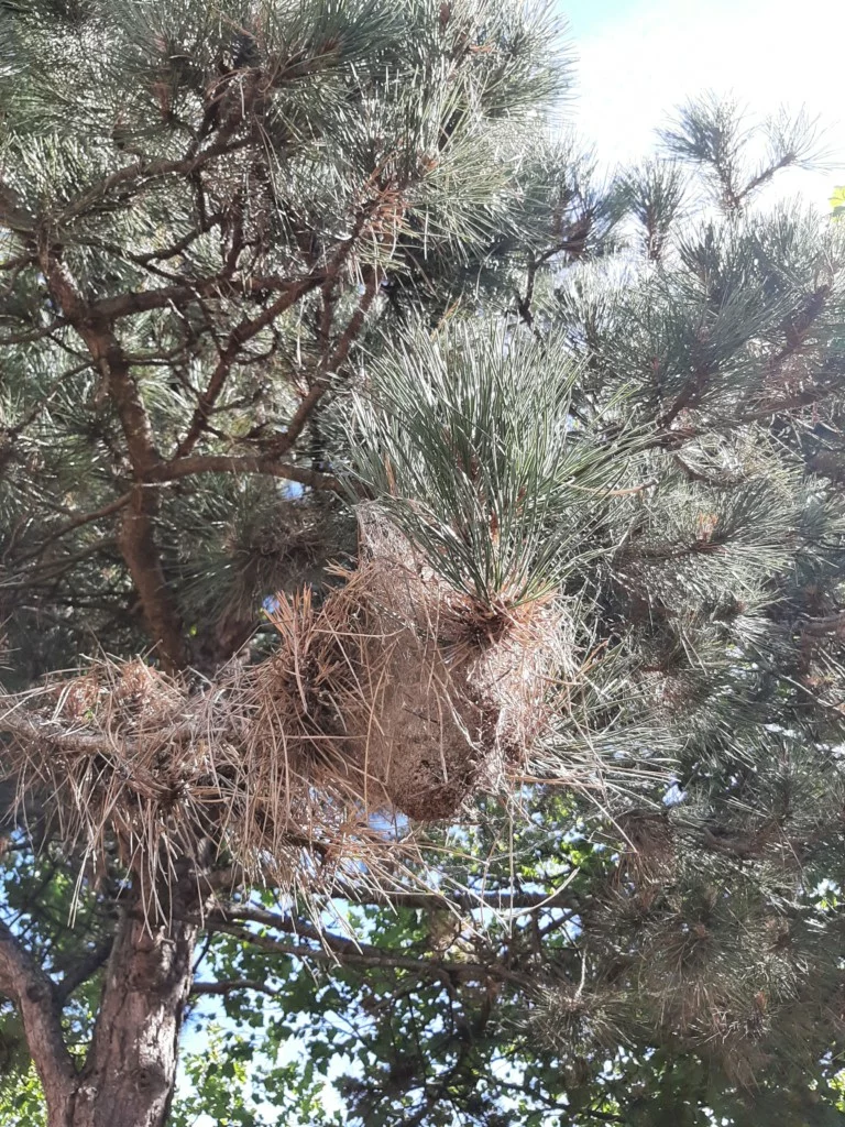 Ttbr Isolation La Rochelle TTBR Isolation La Rochelle Img1 5 1 768x1024 1