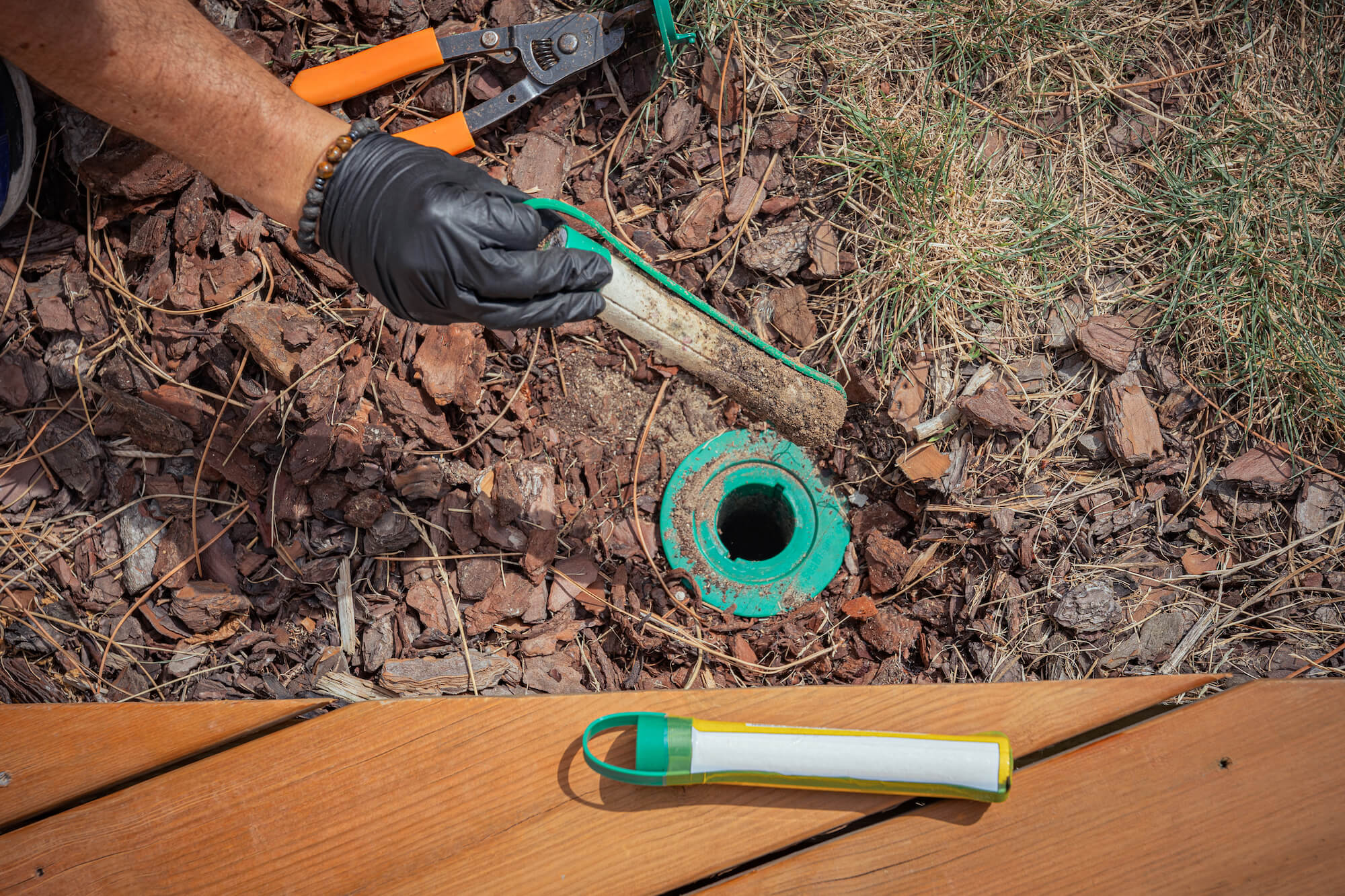 Pièges anti-termites : la solution pour protéger votre habitat